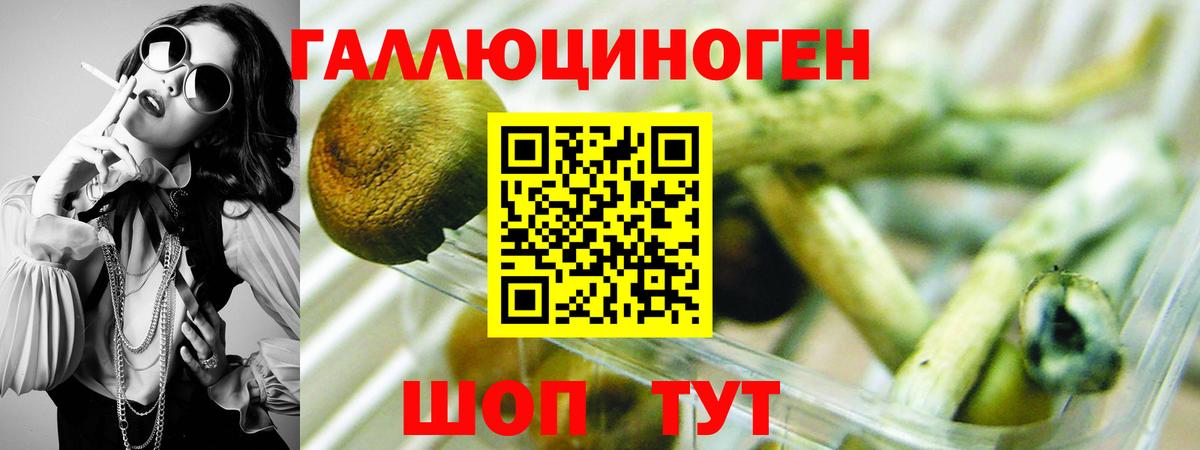 Назрань  Галлюциногенные грибы Cubensis  дарнет шоп  Вход с VPN  Галлюциногенные грибы Magic Shrooms 